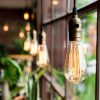 Customer Catalyst